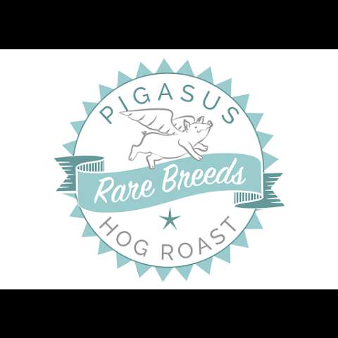 Pigasus Rare Breeds Hog Roast photo